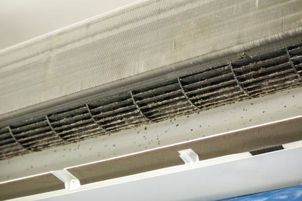 Best Residential Air Duct Cleaning  in Bithlo, FL